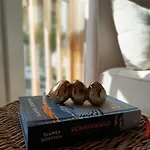 Osada Malawka Pod Sniezka *