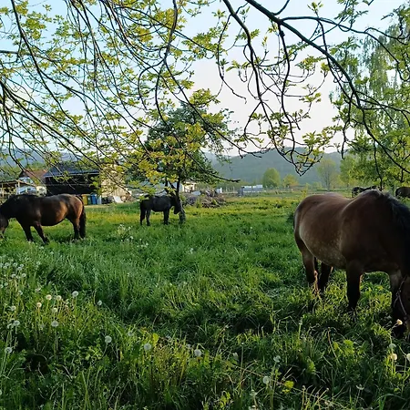 Osada Malawka Pod Sniezka *